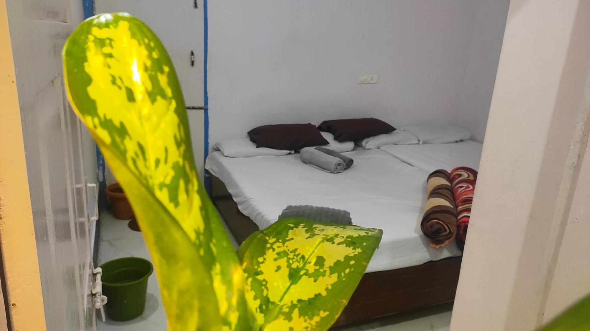 فندق Adh Amilia Gardens Narasimharaja Puram المظهر الخارجي الصورة