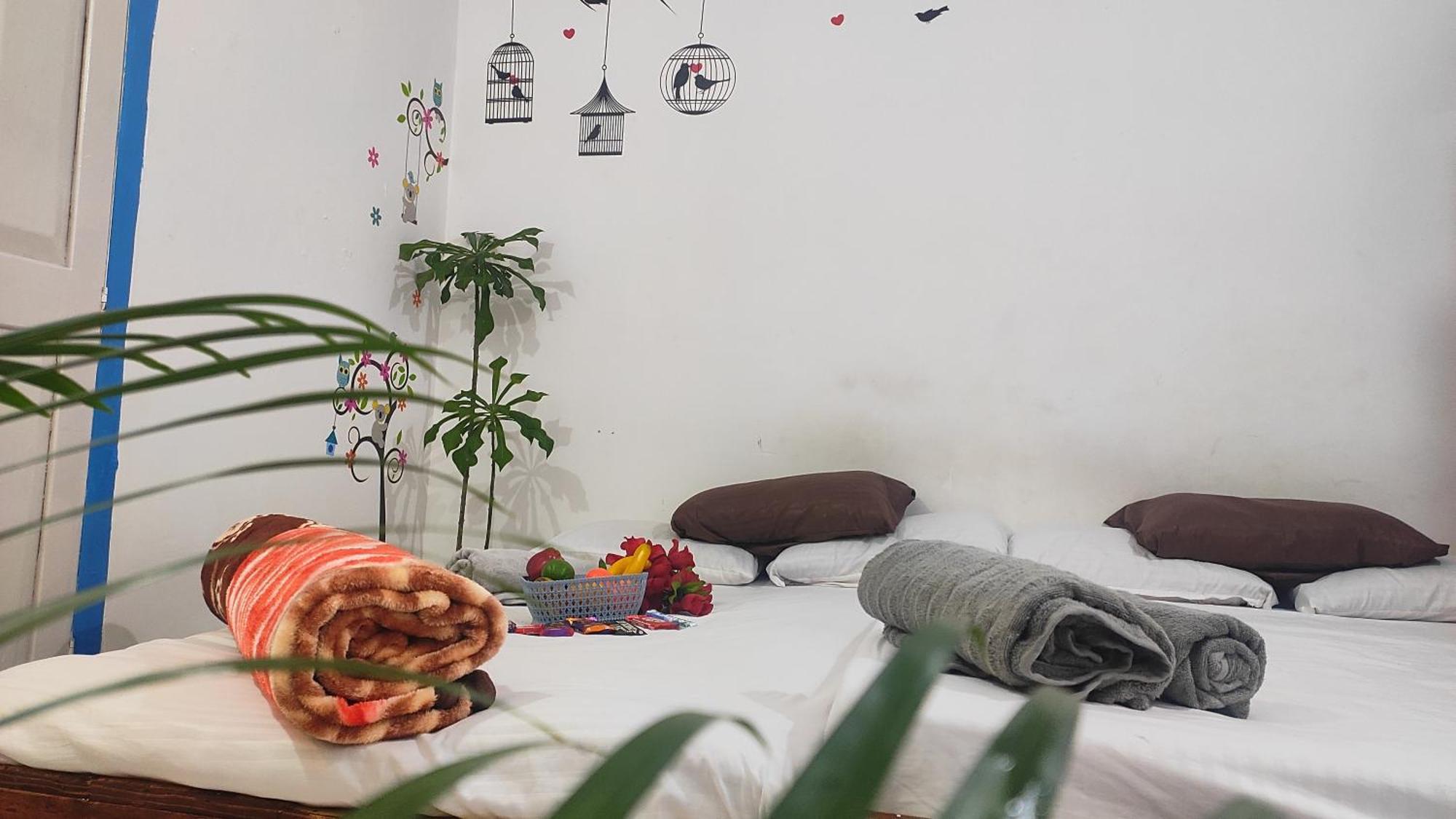 فندق Adh Amilia Gardens Narasimharaja Puram المظهر الخارجي الصورة