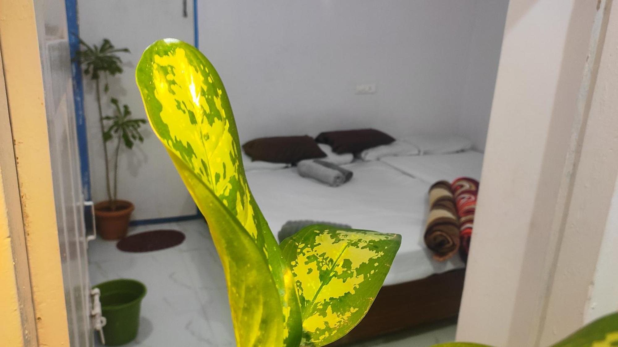 فندق Adh Amilia Gardens Narasimharaja Puram المظهر الخارجي الصورة